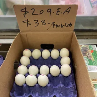 Duck embryo eggs ( balut )