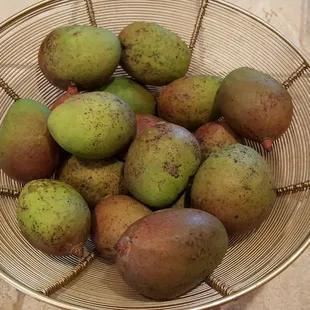 Crunchy Small mangos $ 3.49 a Lb 6.03.16