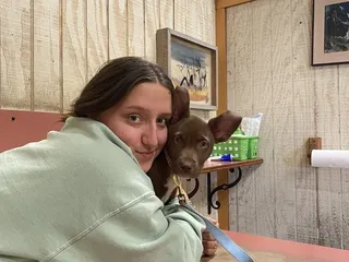 Baldwin & Crosstown Animal Clinic