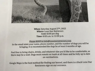 Animal Medical Corpus Christi