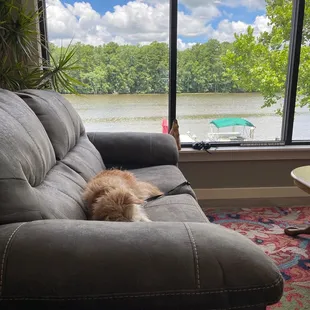 Resident pup...and that view!