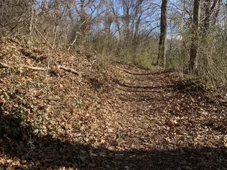 Beechlake Park Newport News