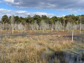 Greensprings Greenway Interpretative Trail