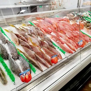 Lots of beautiful fresh fish