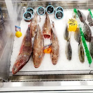 Some more fish  that was beautifully displayed