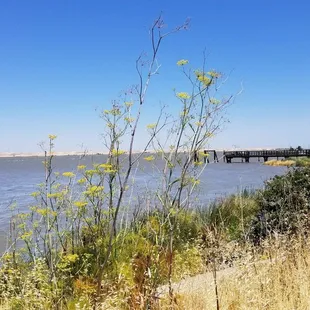 The San Joaquin River