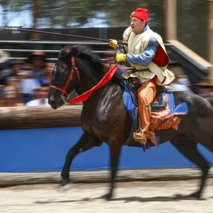 Jousting at Koroneburg Renaissance Festival.