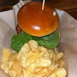 Chicken Sandwich