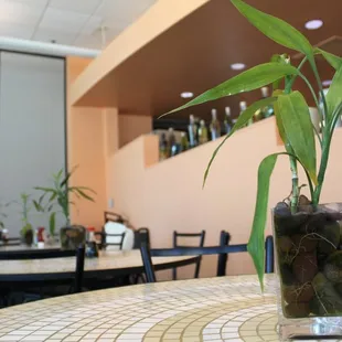 Cute Setup of Riverwalk Cafe