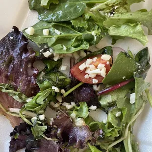 Garden Salad