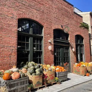 a row of pumpkins and gourds