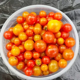 Tiny but very tasty tomatoes.