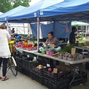 a woman shopping for vegetables