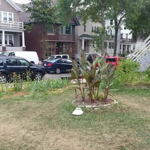 Right in the Riverwest hood.