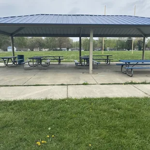 Shelter