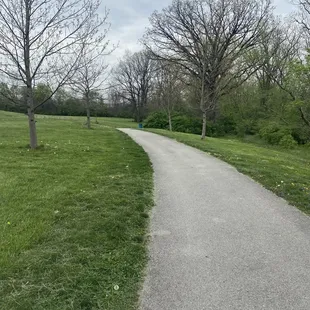 Trail