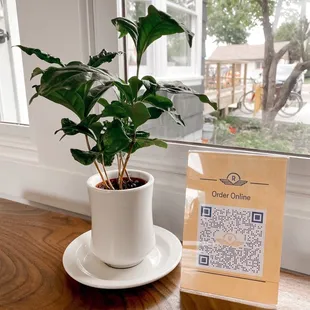 Order online * https://rivet-coffee-bar-and-roastery.square.site