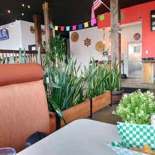 Plant leaf patted my butt "good bye" when I walked by it! Fun!