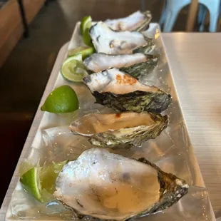 Best and biggest oysters I've tasted in town! They didn't last long enough for a picture as you can tell