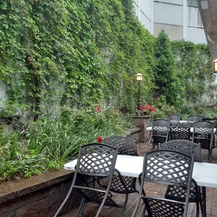 Rainy day. Limited patio seating.