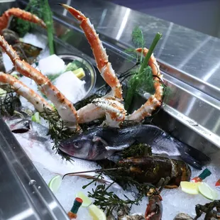 sashimi, food, sushi, sushi and sashimi