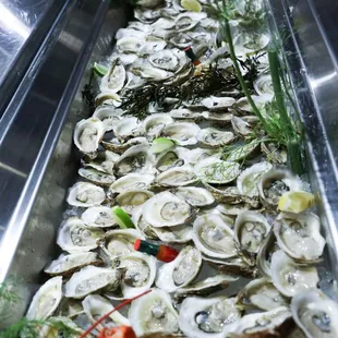 interior, oysters and mussels