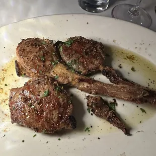Lamb Chop
