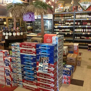 a palm tree in the middle of the store