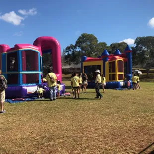 Backyard Combos: Dream Pink &amp; Blue Castle