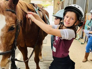 Agave Hurricane Trail Company