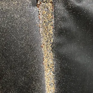 Evidence and activity of bed bugs.