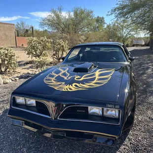 Smokey and the Bandit!