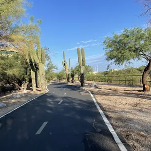 Bike path to Oro Valley.  Great ride suggested by Elliot at Roadrunner Bicycles!