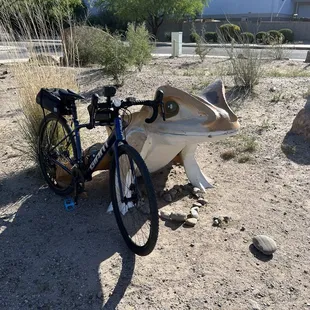 Met a frog on Huckleberry trail.