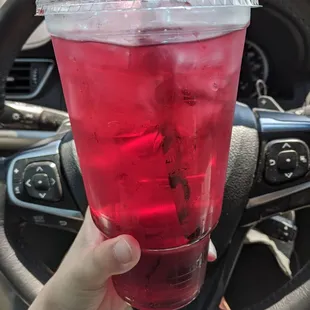 Large prickly pear tea