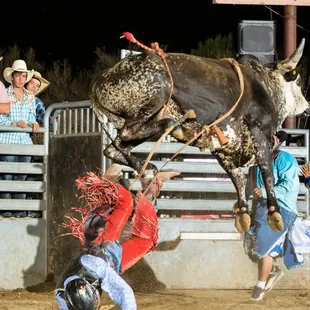 a man falling off a bull