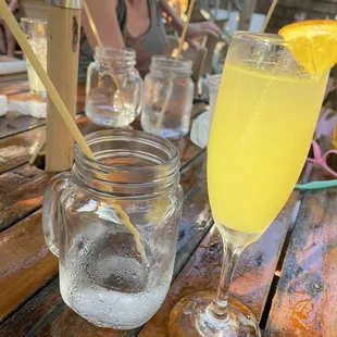 Mimosa