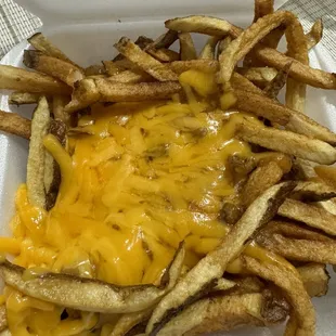 Coney fries