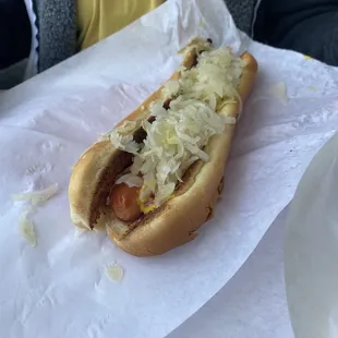 Dog with mustard and kraut