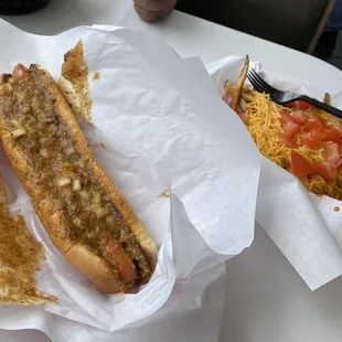 Long Island Coney Dog and Coney Fries