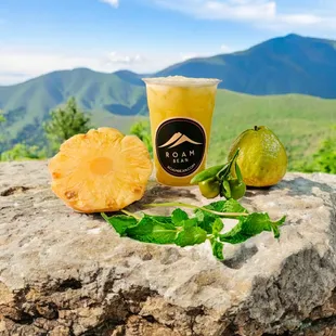 Wellness Booster Juice - Nuoc Ep Thom Oi Tac