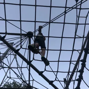 Ropes course from underneath.