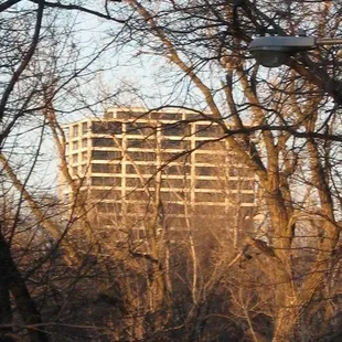 Park Place Lofts as seen from the park