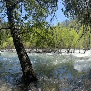 Beautiful River that is next to the camp