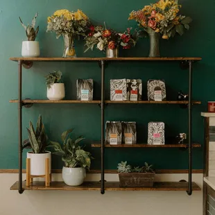 a shelf with various potted plants