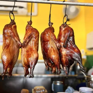 chicken wings and fried chicken, chicken wings, chicken, bbq wings, poultry, fried chicken, bbq chicken, food, fried chicken wings