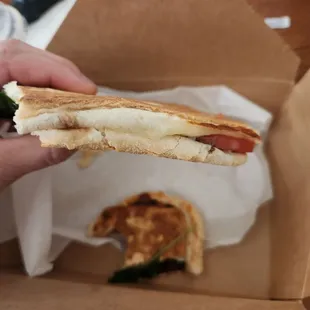 Flat panini