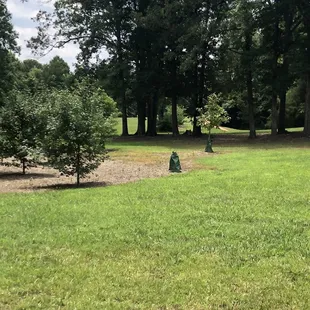 Disc golf course