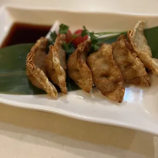 Gyoza