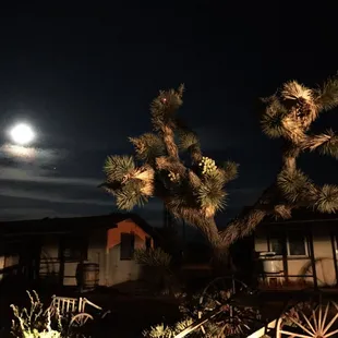 Full Moon along the 14